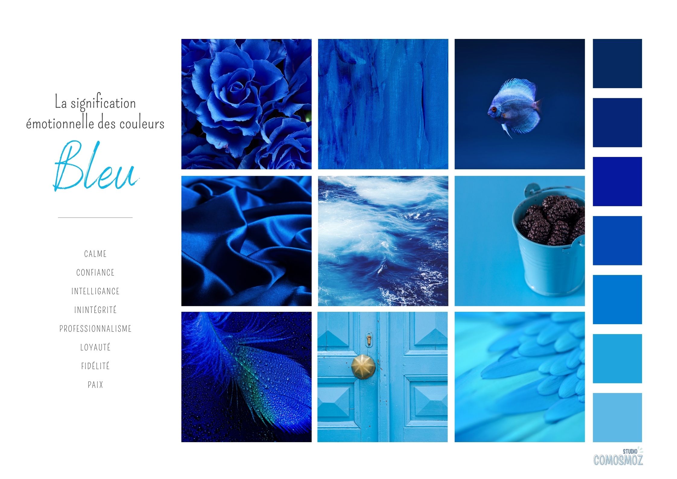 bleu