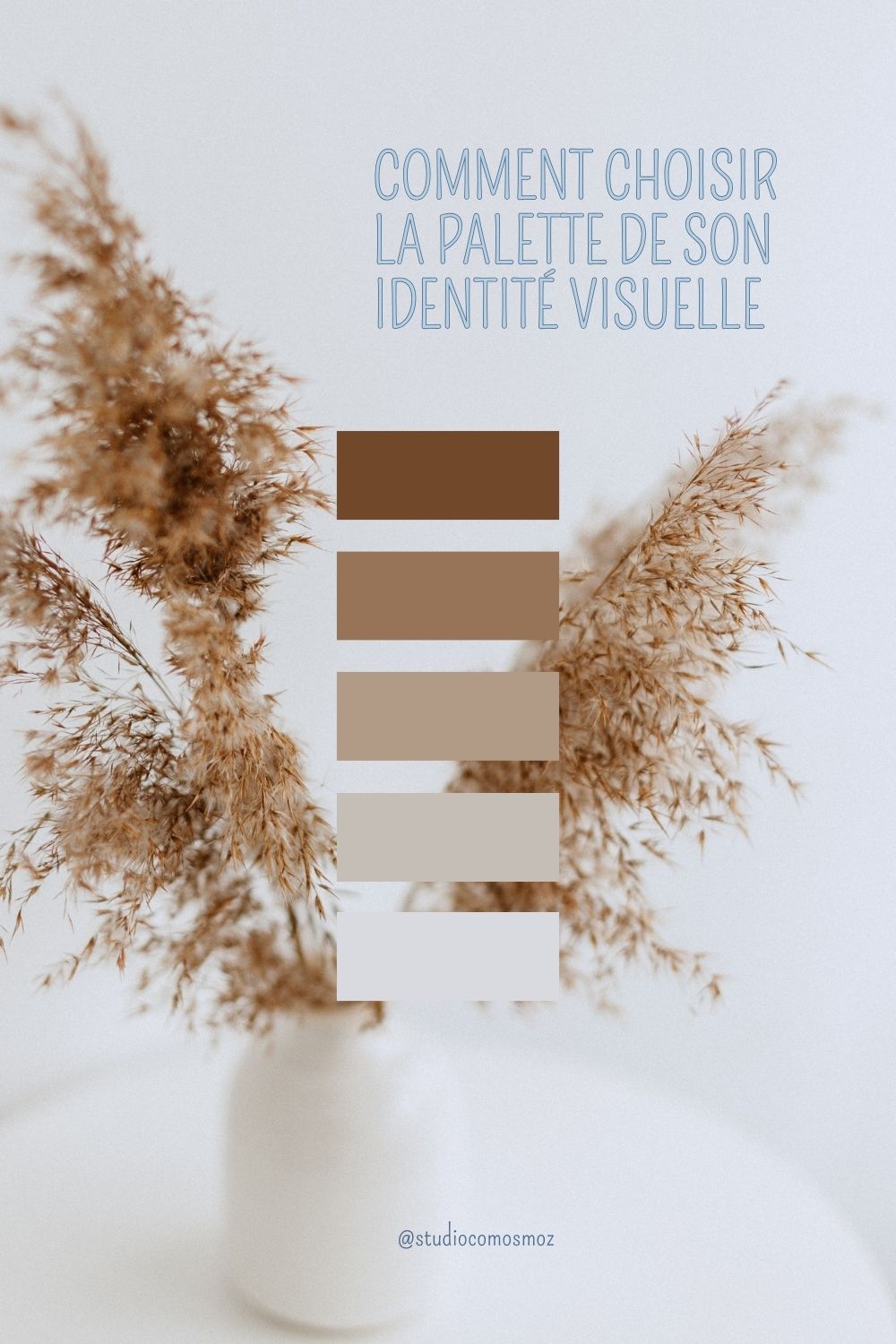 Comment choisir la palette de couleurs parfaite pour ton identité visuelle